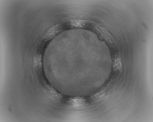 X0000115400466200912011208