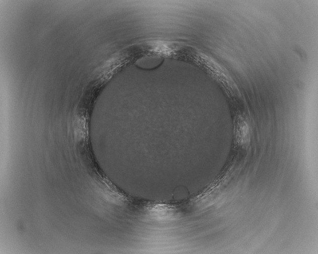 X0000115400467200912011208