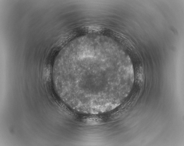 X0000115400468200912011208