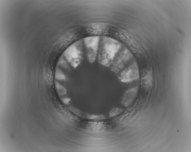 X0000115400469200912011208