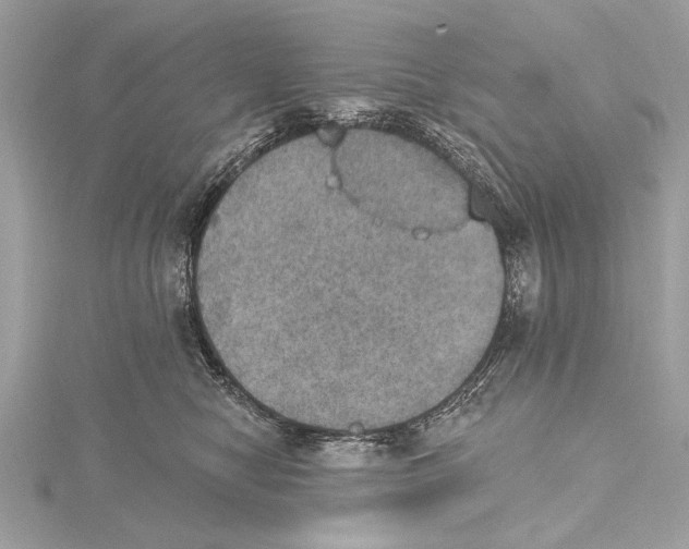 X0000115400470200912011208