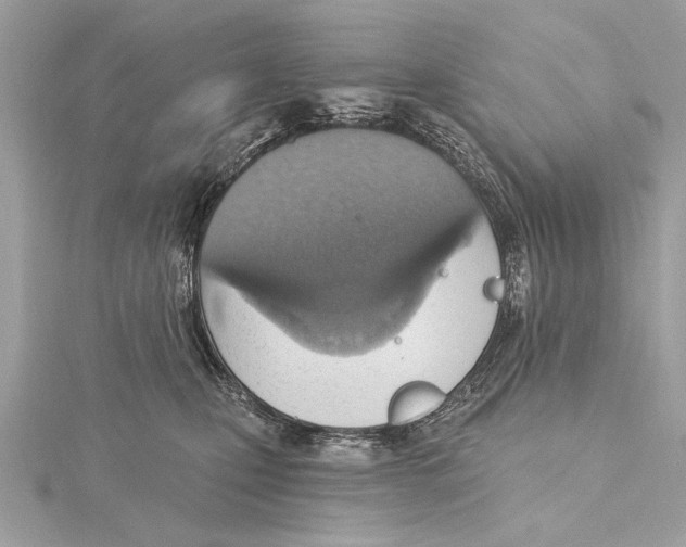 X0000115400471200912011208