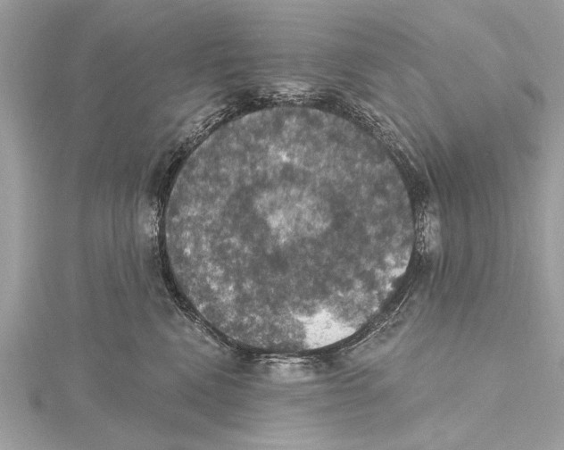 X0000115400472200912011208