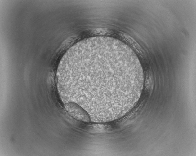 X0000115400473200912011208