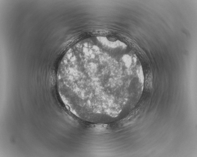 X0000115400474200912011208