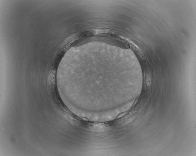 X0000115400475200912011208