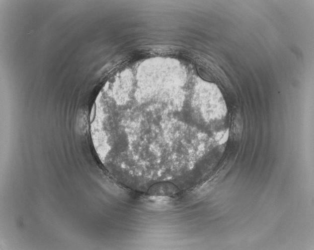 X0000115400478200912011208