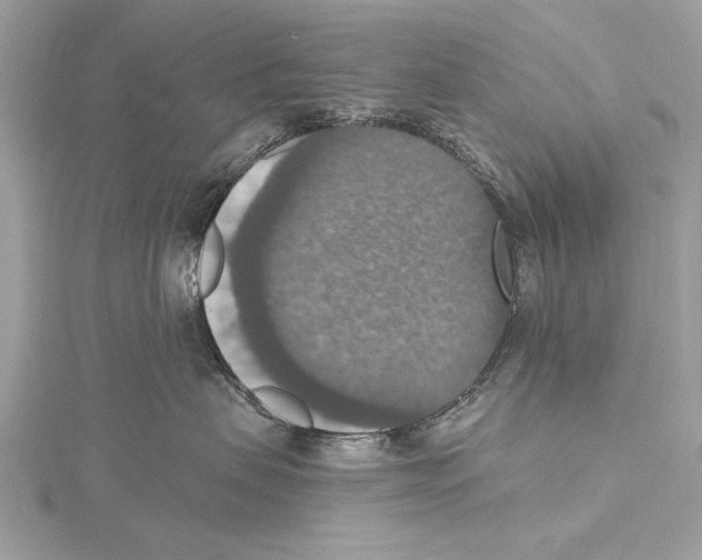 X0000115400479200912011209