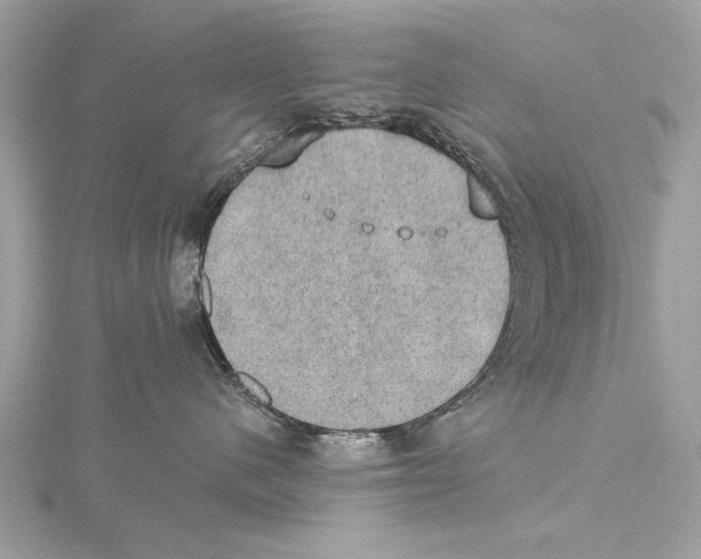 X0000115400480200912011209