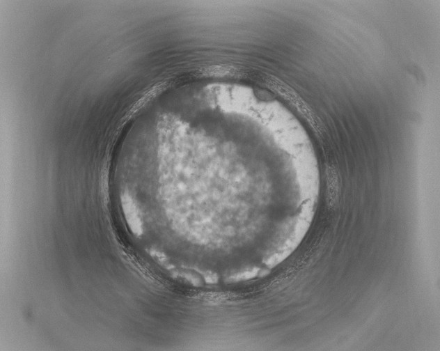 X0000115400482200912011208