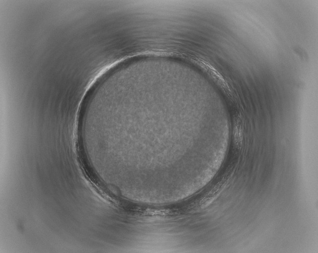 X0000115400484200912011208