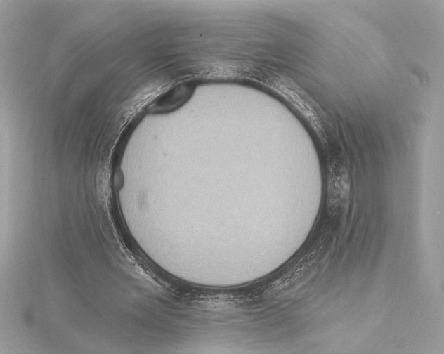 X0000115400485200912011208