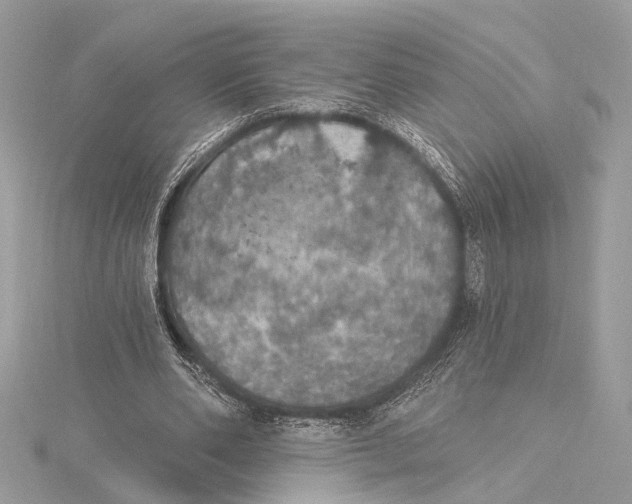 X0000115400486200912011208