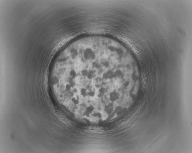 X0000115400487200912011208