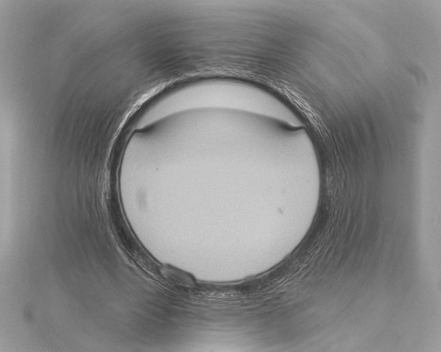 X0000115400488200912011208