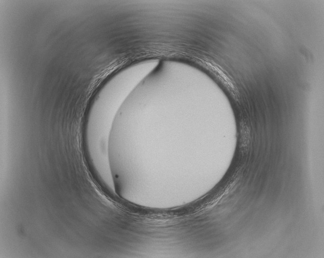 X0000115400489200912011208