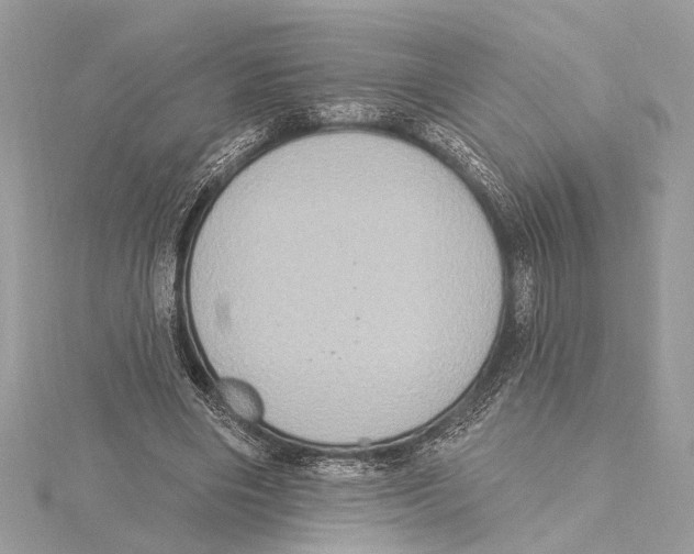 X0000115400490200912011208