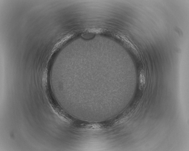 X0000115400492200912011208