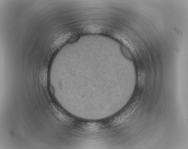 X0000115400493200912011208