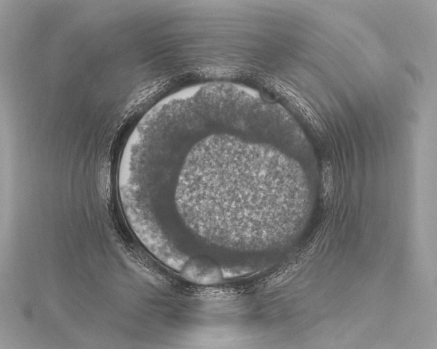 X0000115400494200912011208