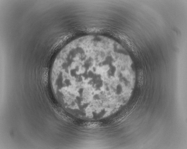 X0000115400495200912011208