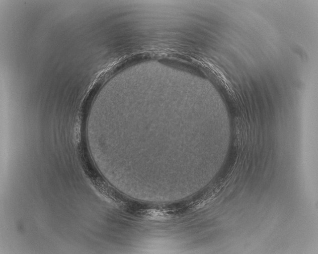 X0000115400496200912011208