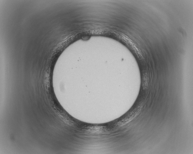 X0000115400497200912011208