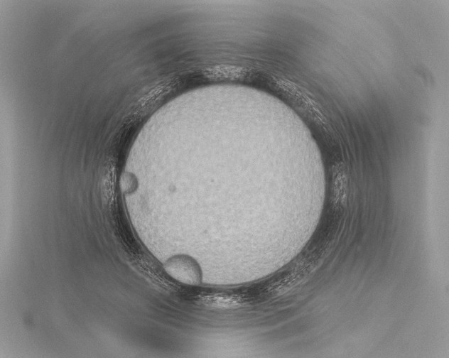 X0000115400498200912011208