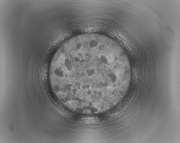 X0000115400499200912011208