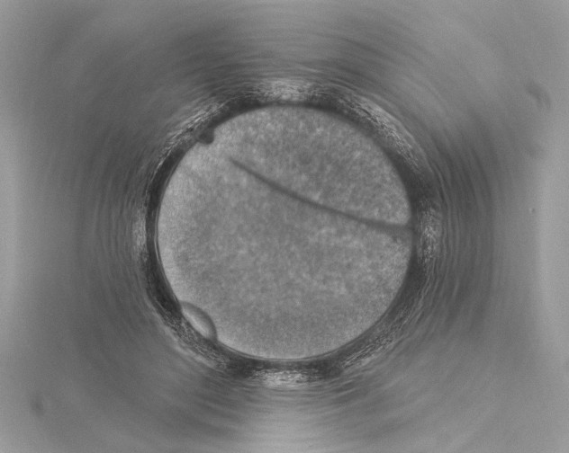 X0000115400500200912011208