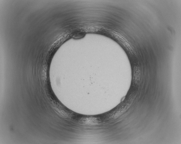 X0000115400501200912011208