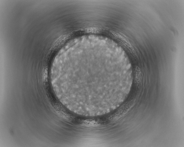 X0000115400502200912011208