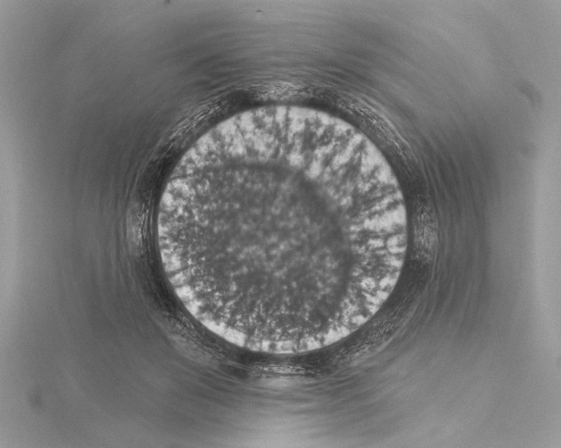 X0000115400503200912011208