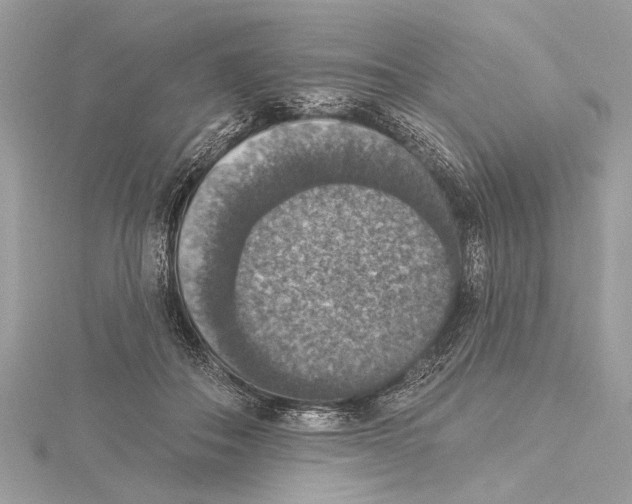 X0000115400506200912011208