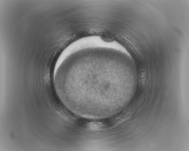 X0000115400508200912011208