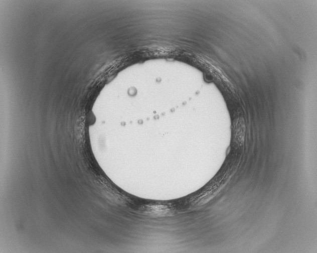 X0000115400509200912011208