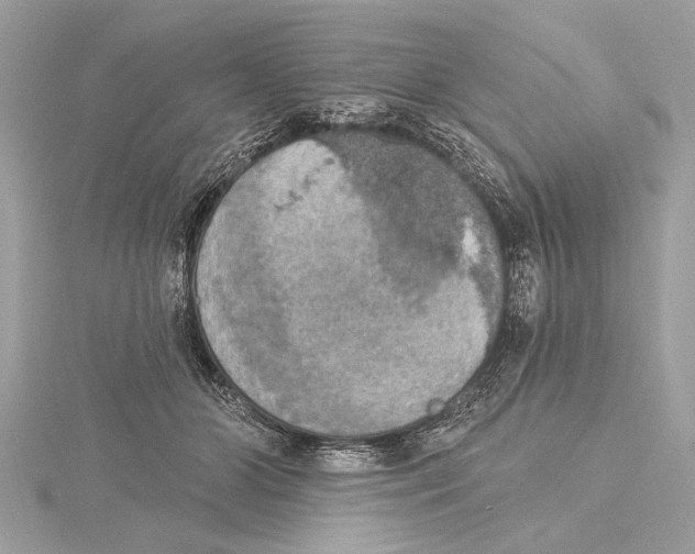 X0000115400510200912011208