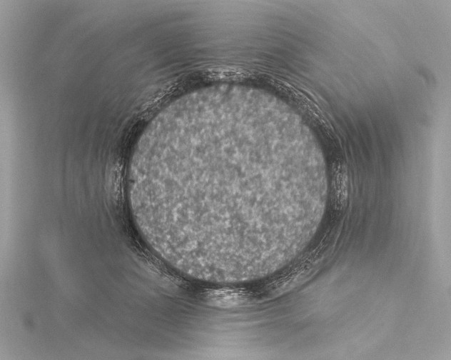 X0000115400511200912011208