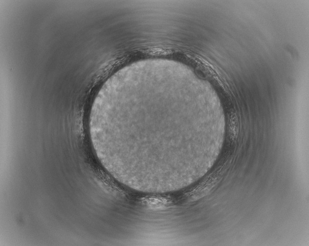 X0000115400512200912011208