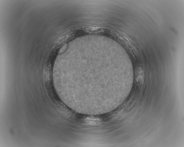 X0000115400515200912011207