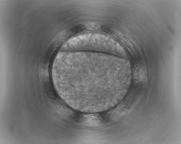 X0000115400516200912011207