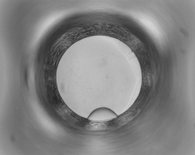 X0000115400526200912011207