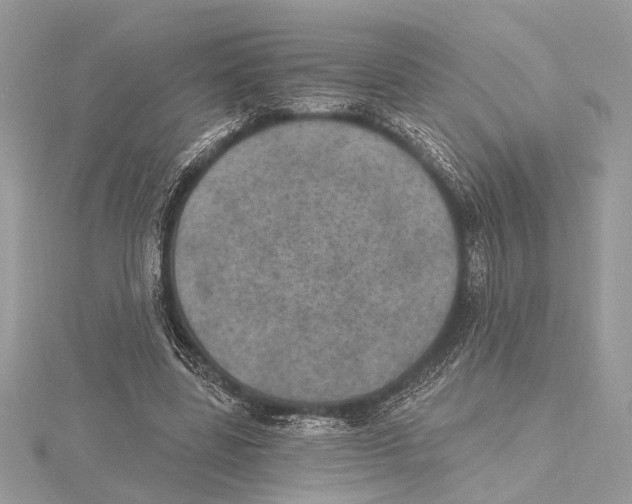 X0000115400539200912011207