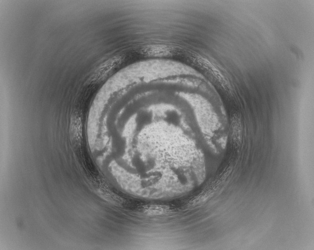 X0000115400549200912011207