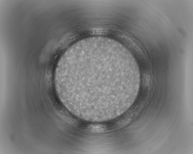 X0000115400557200912011207