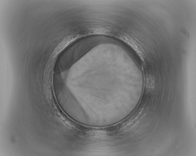 X0000115400577200912011207