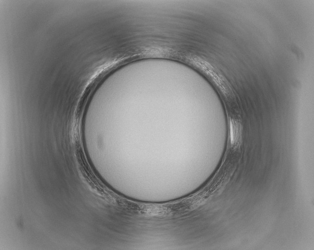 X0000115400579200912011207