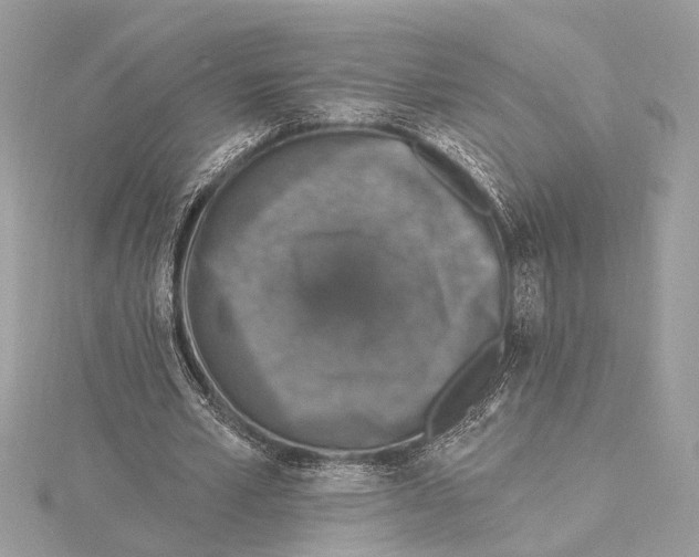 X0000115400581200912011207