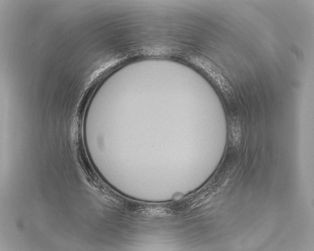 X0000115400583200912011207