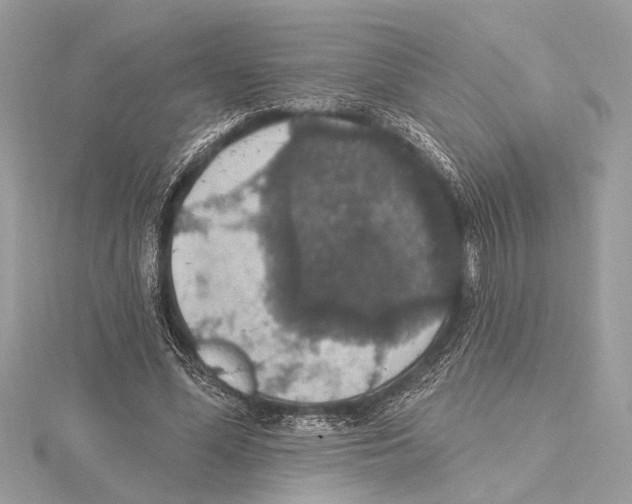 X0000115400588200912011207